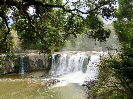 whangarei (28)
